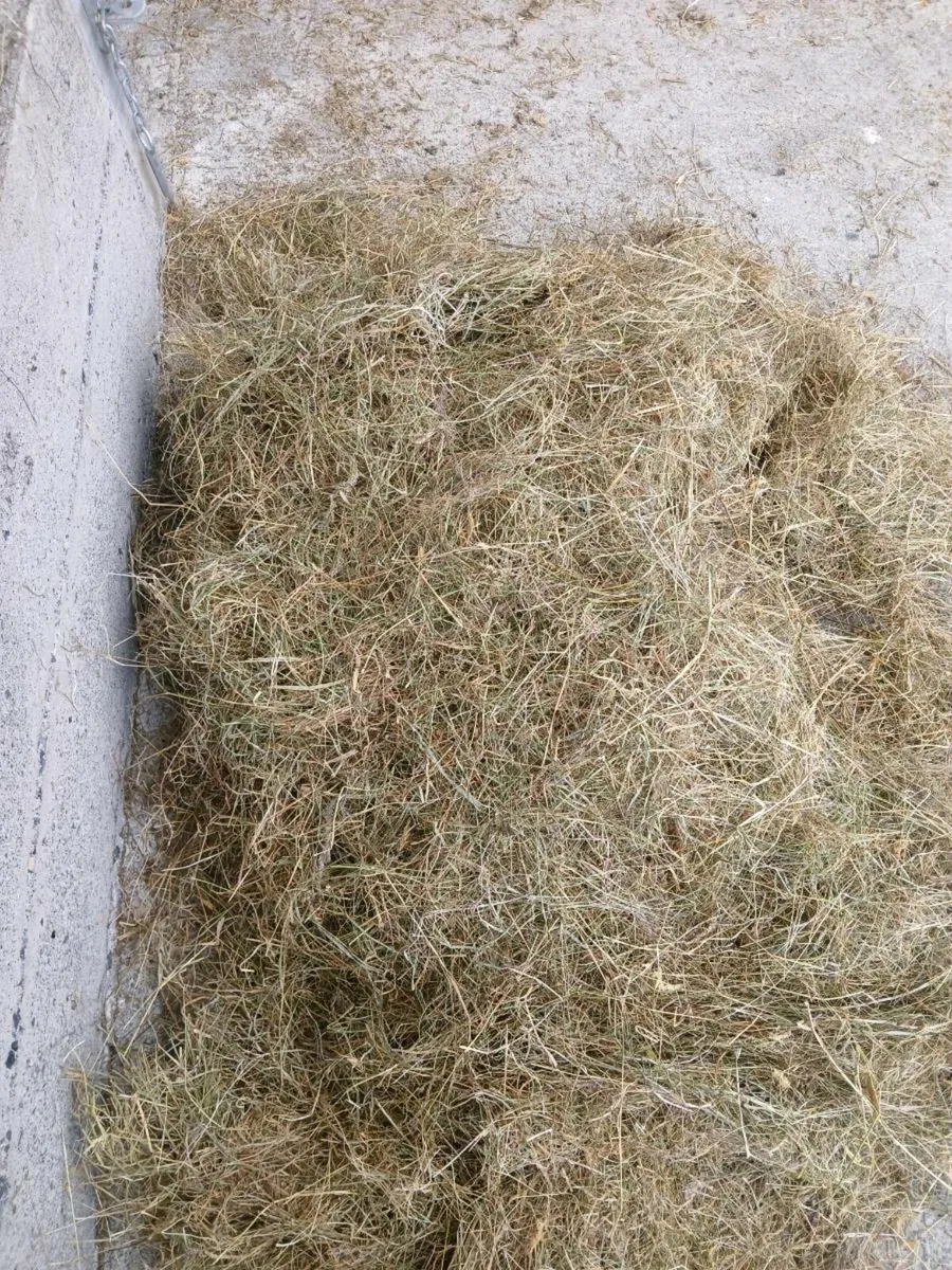 Square bale haylage - Image 3