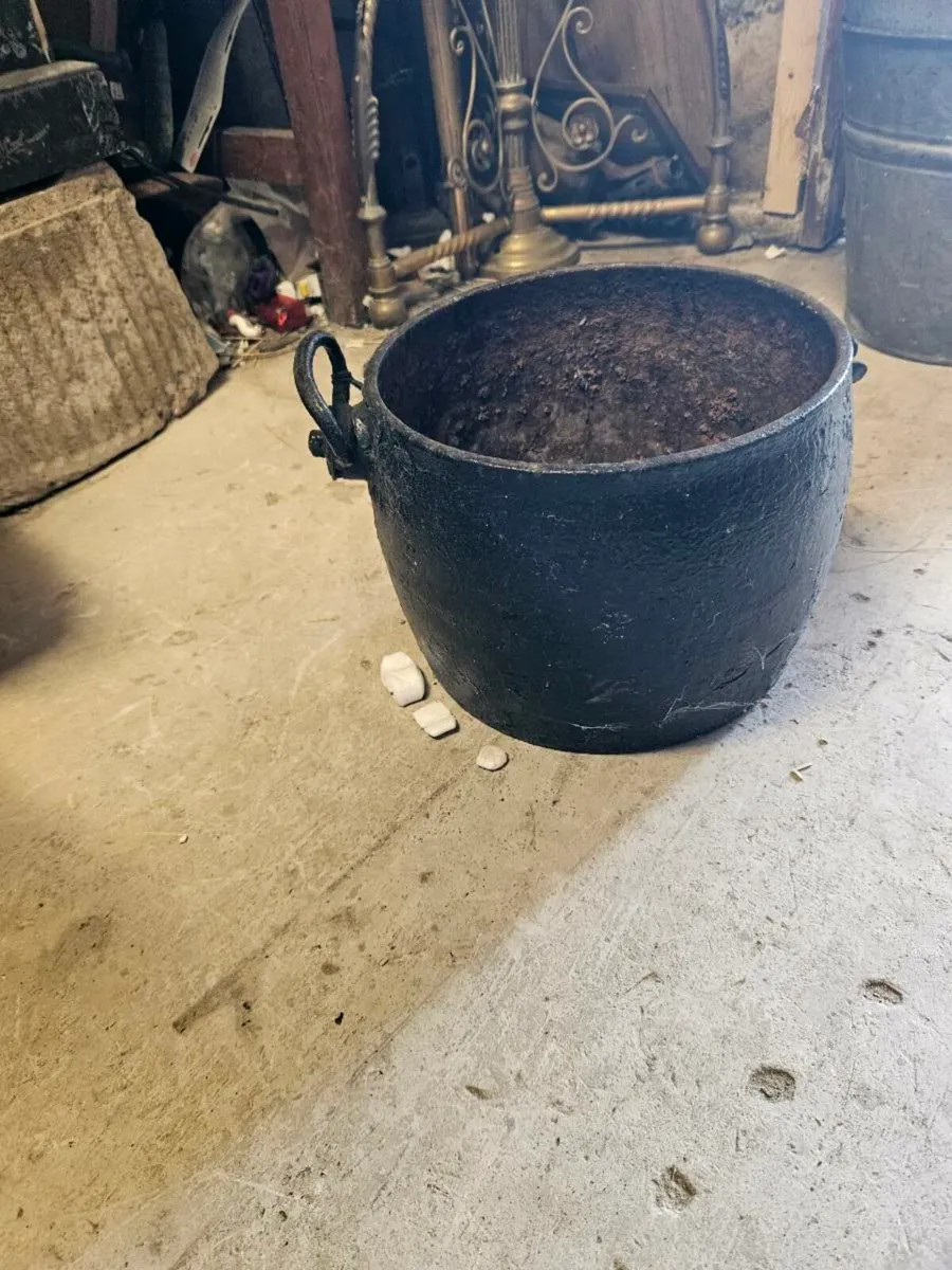 Vintage Cast Iron Skillet Plant Pot - Image 2
