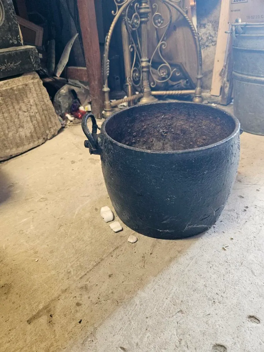 Vintage Cast Iron Skillet Plant Pot - Image 3