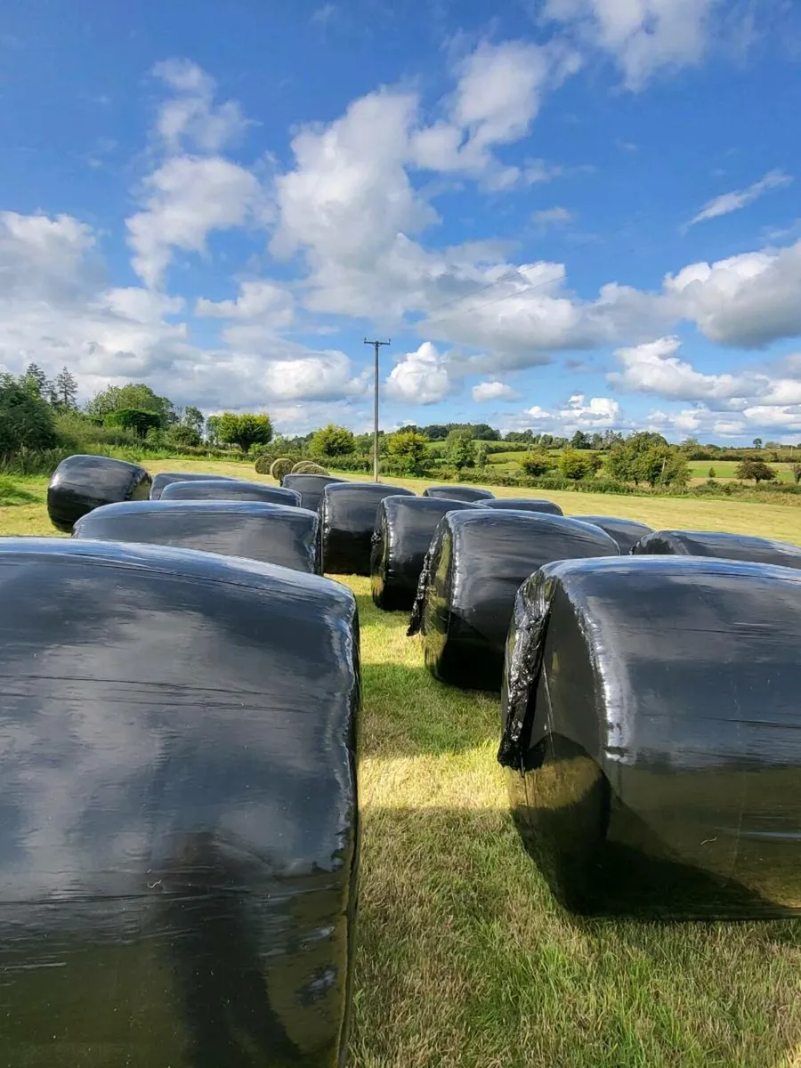 Silage - Image 1