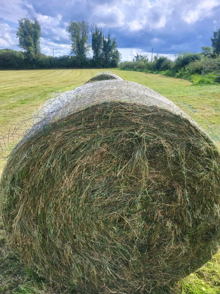 Silage - Image 2