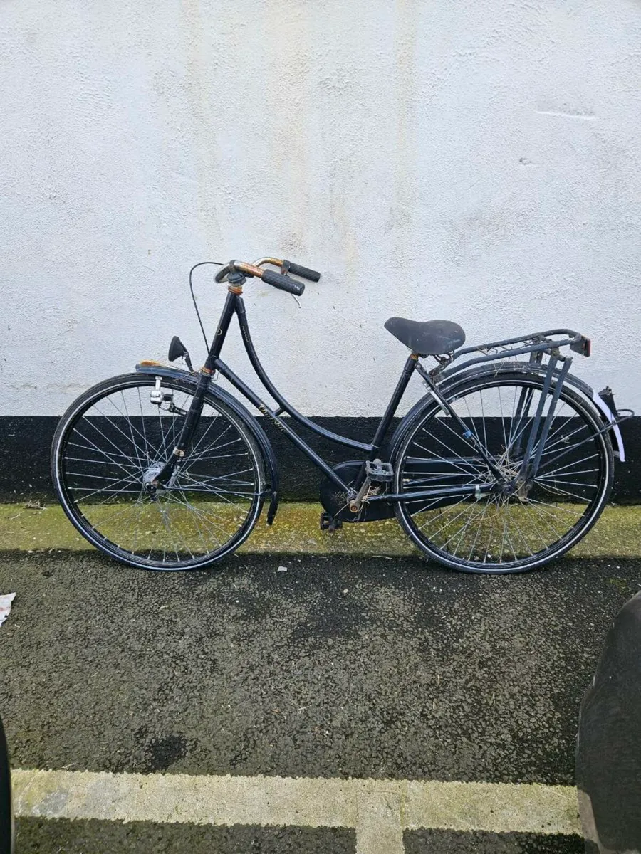 Raleigh Dutchie Bike - Image 1