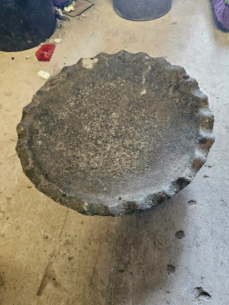 Weathered Bird Bath - Image 4