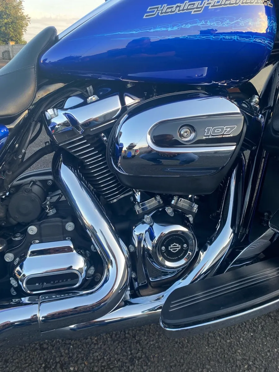 Harley - Image 1