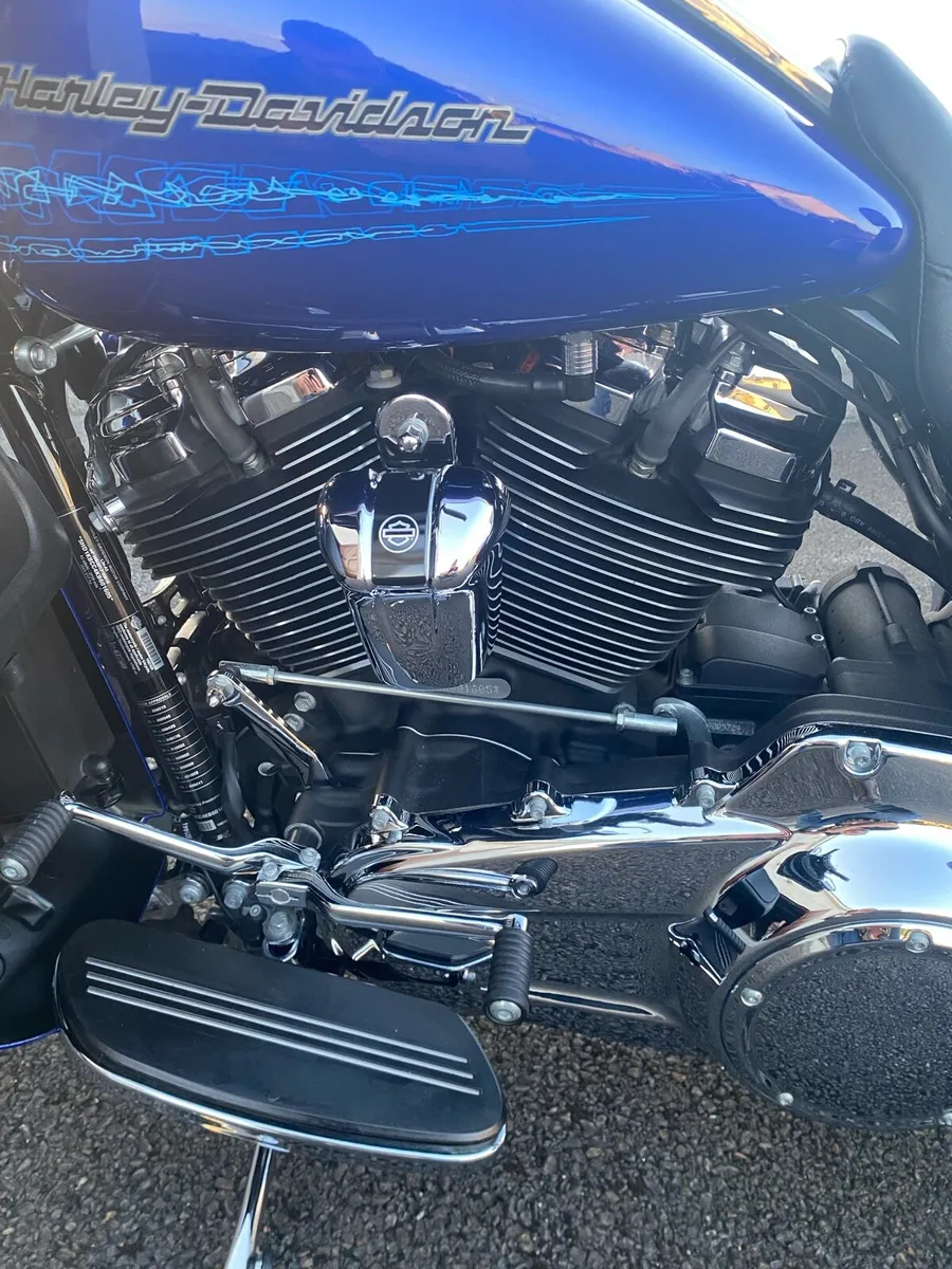 Harley - Image 2