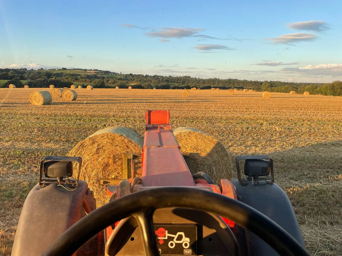Straw - Image 1