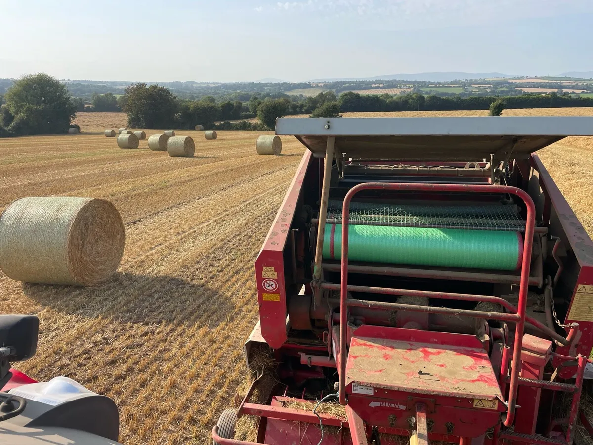 Straw - Image 2