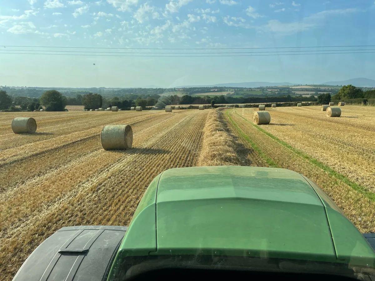 Straw - Image 3
