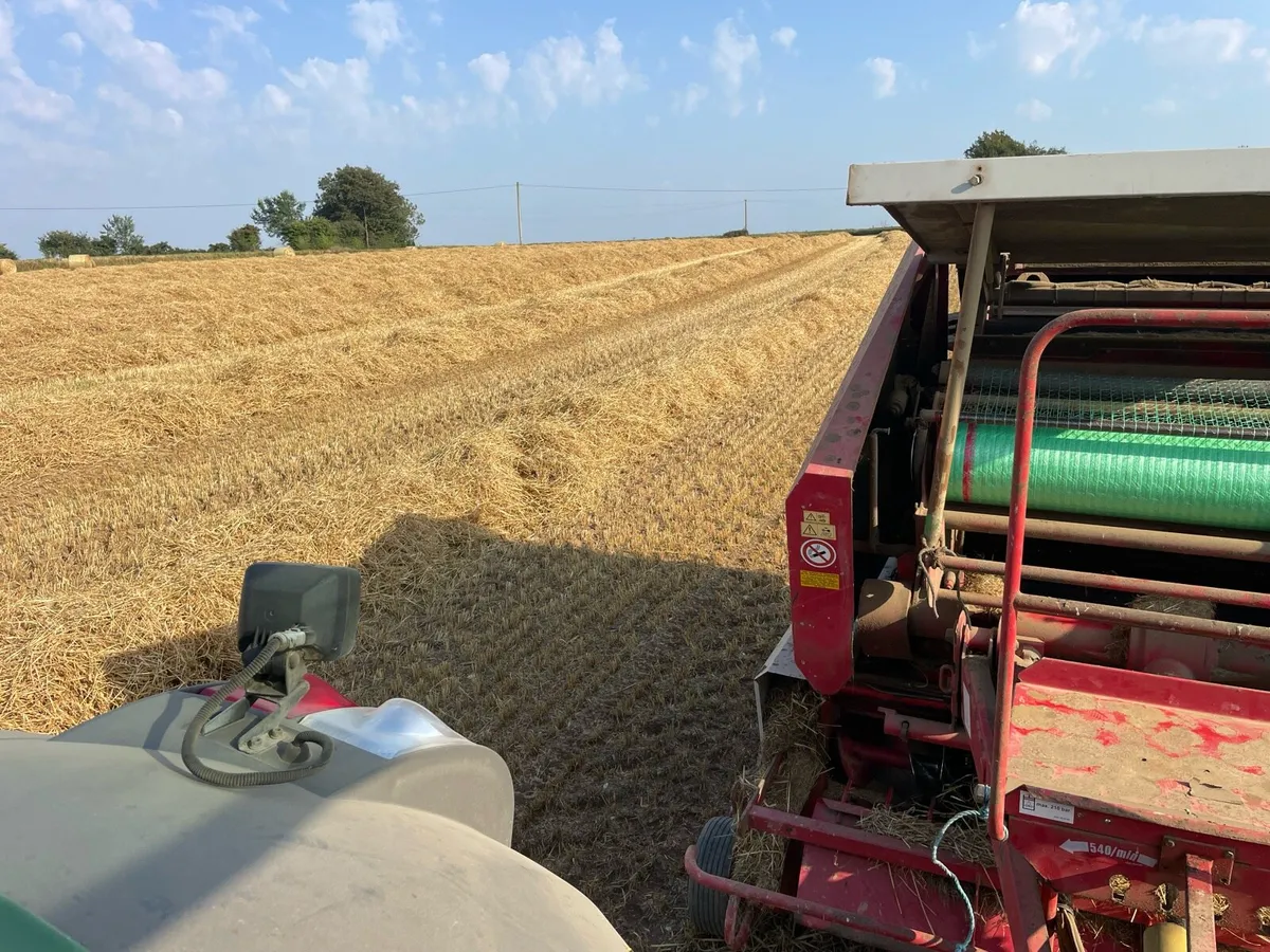 Straw - Image 4