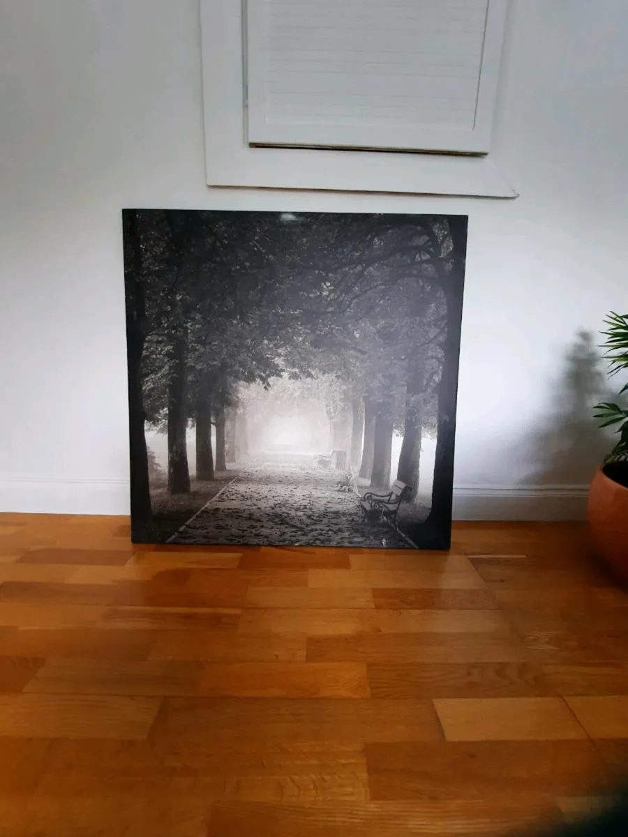 Large Canvas Picture - Image 1