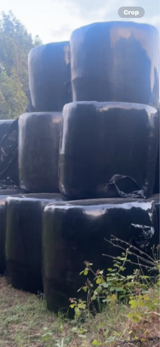 Silage