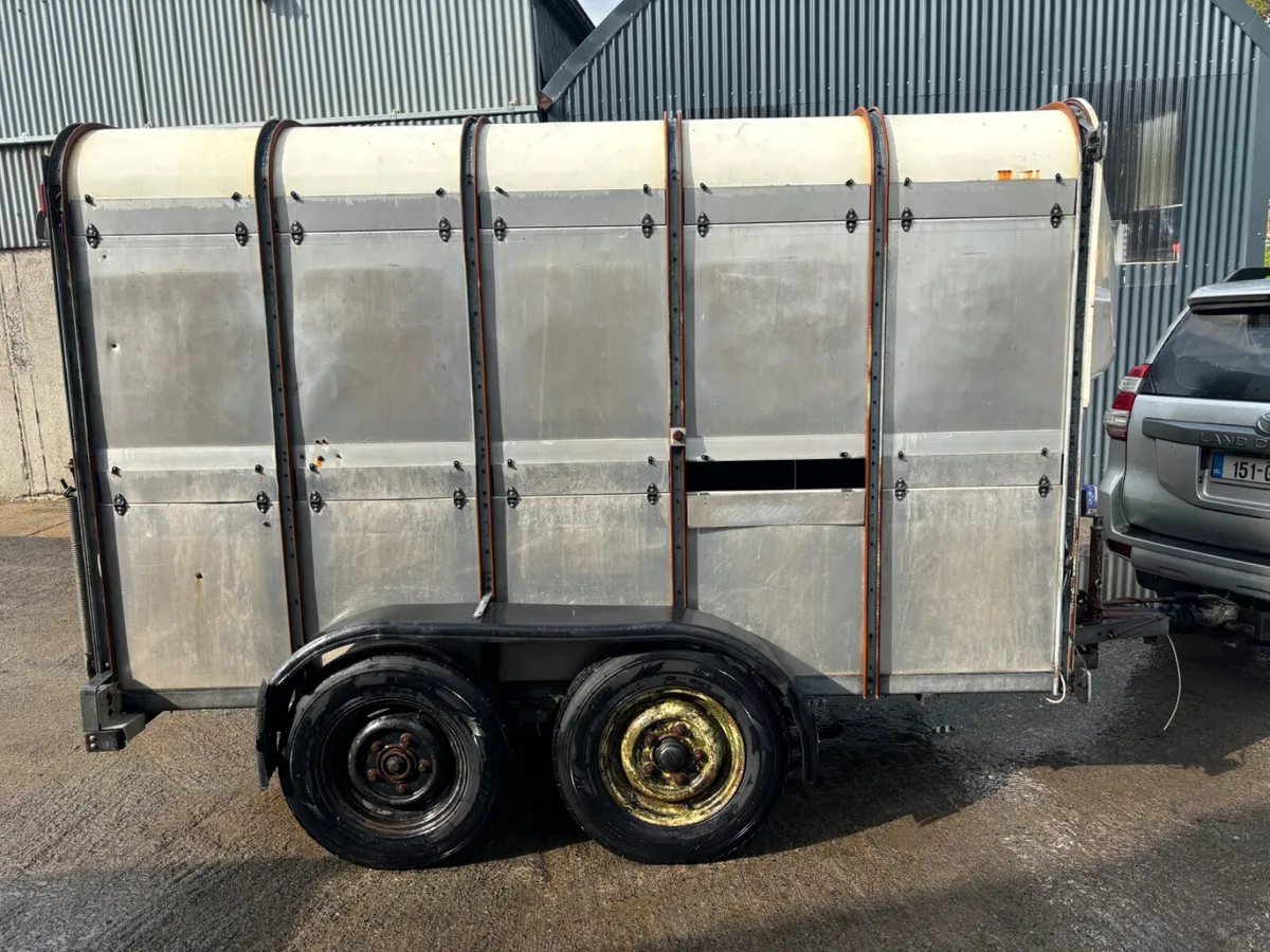 Ivor Williams 10X6 with Decks - Image 4