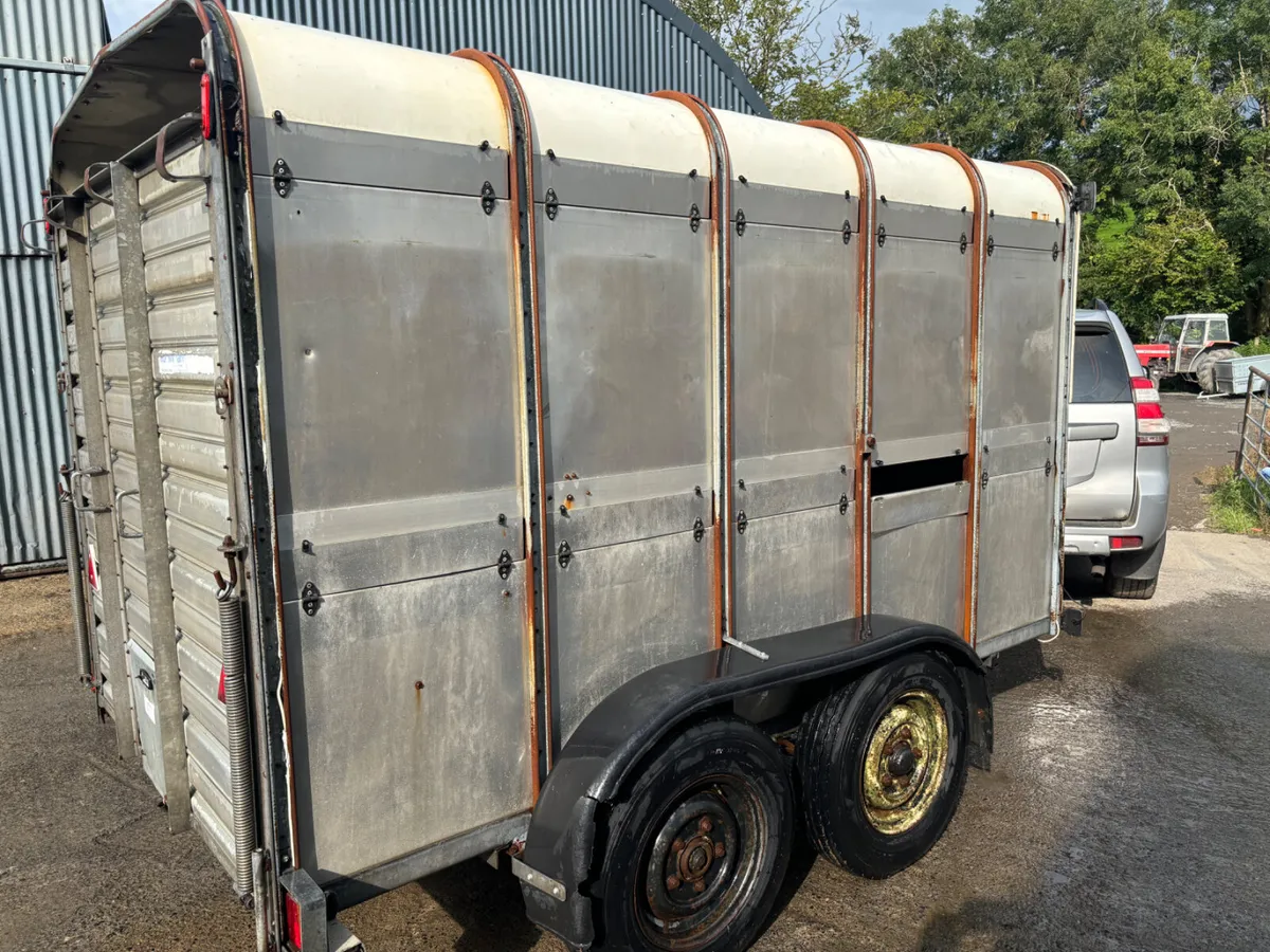 Ivor Williams 10X6 with Decks - Image 3