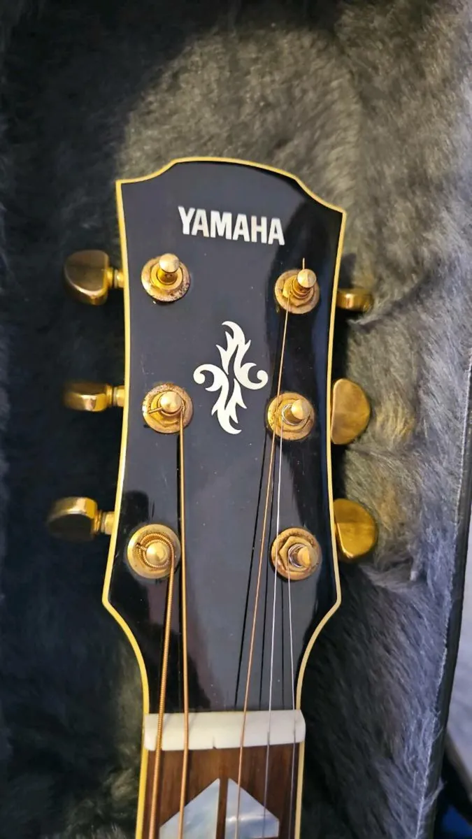 Yamaha Acoustic Guitar - Image 2