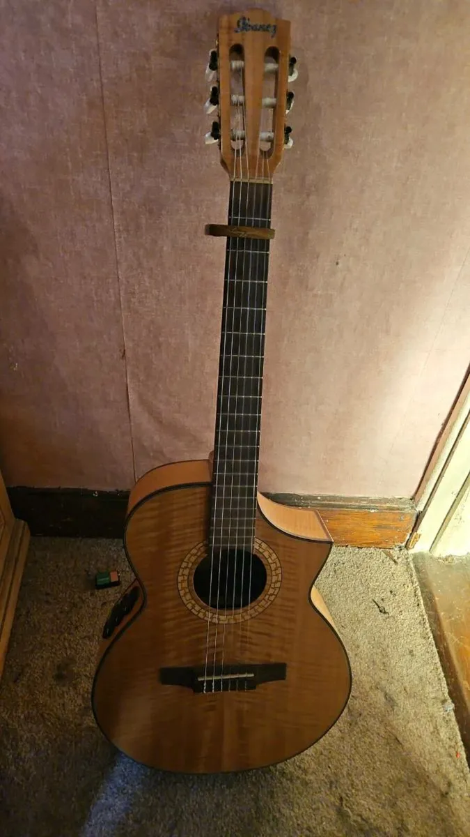 Ibanez Acoustic Guitar - Image 1