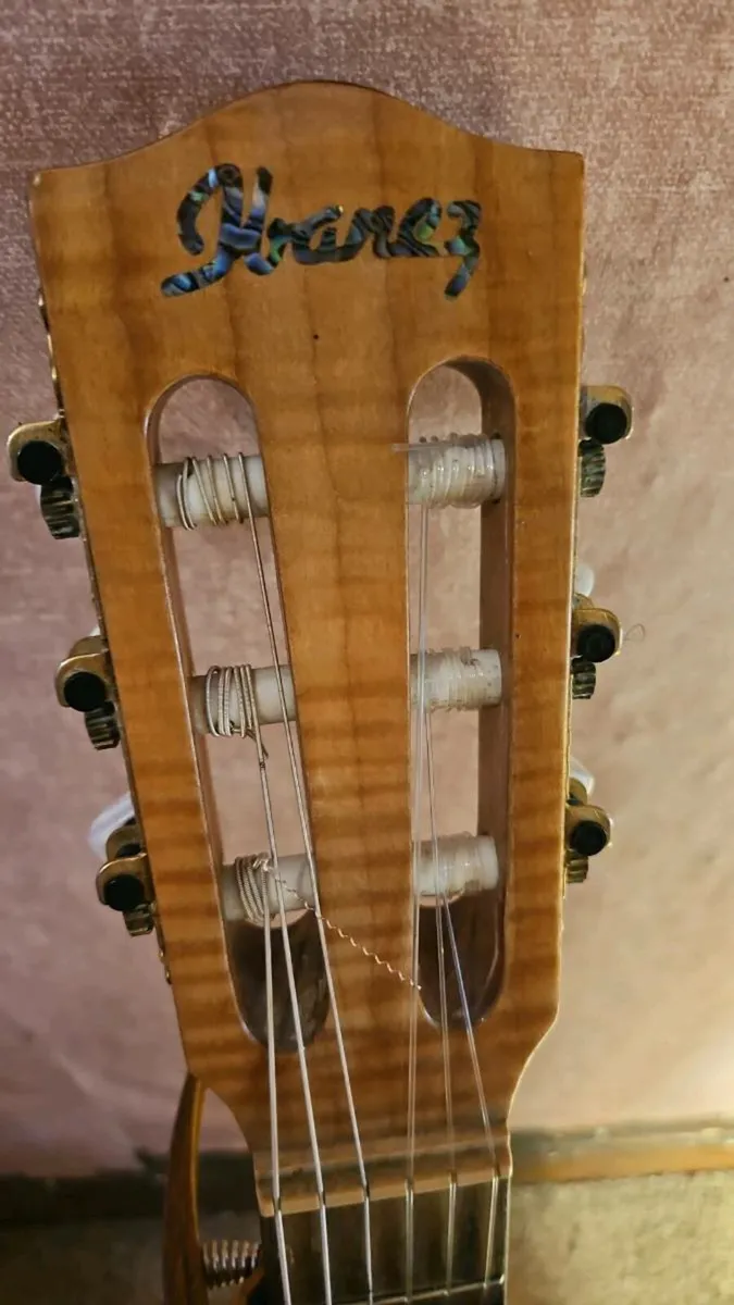Ibanez Acoustic Guitar - Image 2