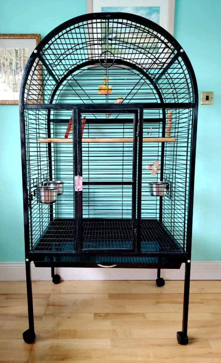 Bird Cage - Image 2