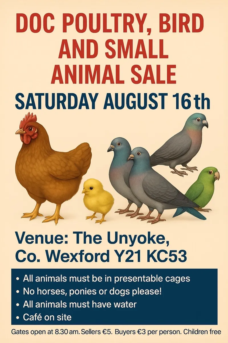 Poultry/Bird/ Small Animal Sale (See details)