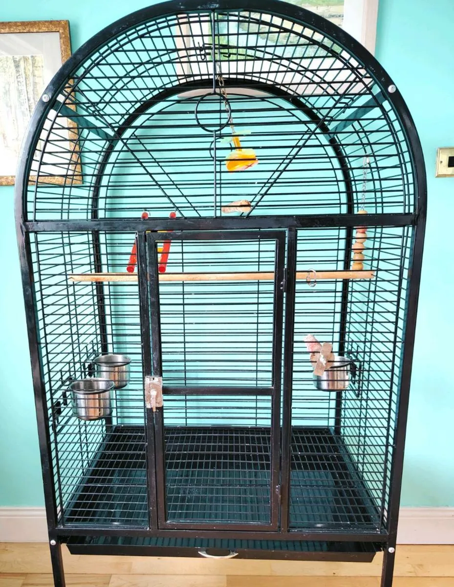 Bird Cage - Image 3