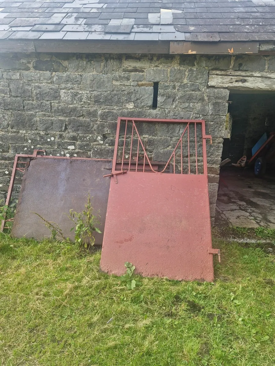 Iron gates - Image 2