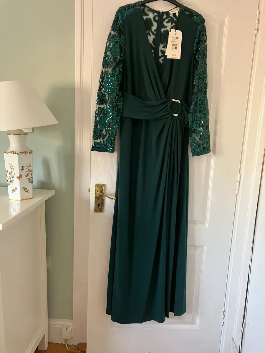 Mother of the Bride Dress - Image 1