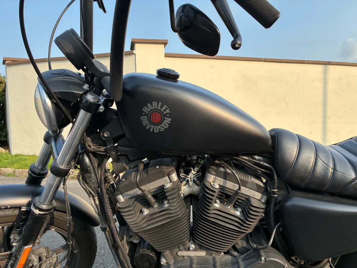Harley 883 - Image 2