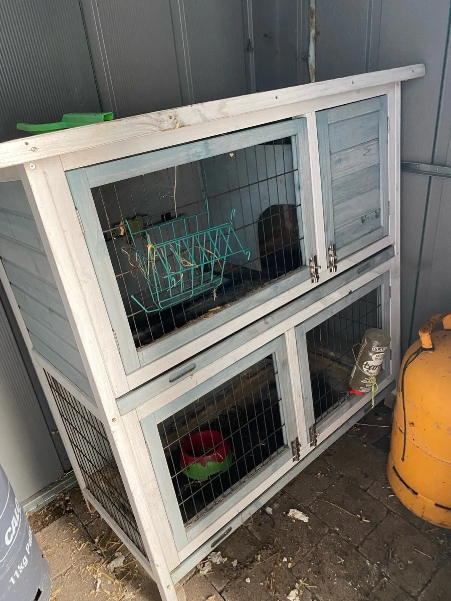 Free Guinea pig/rabbit/hamster hutch - Image 1