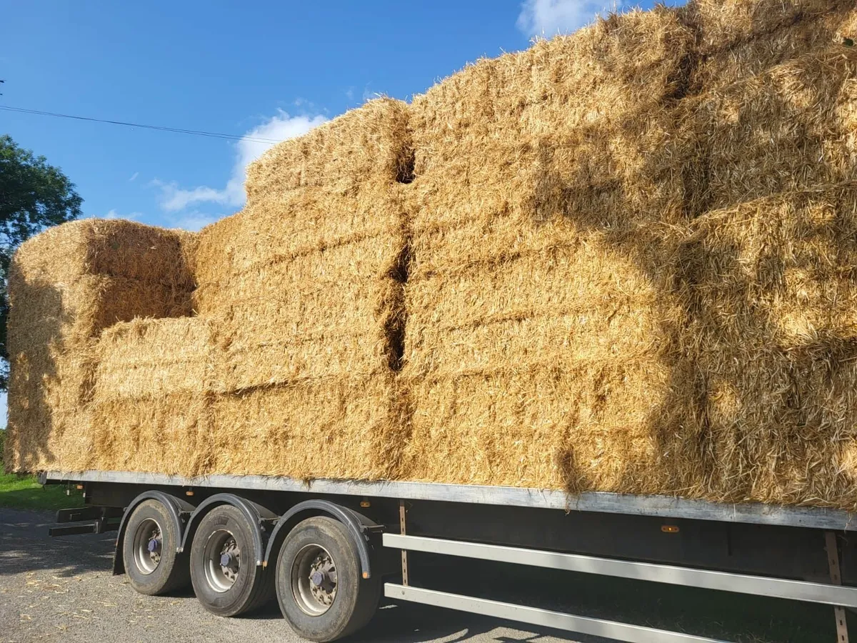 Barley and Wheat Straw 8x4x4 and 8x4x3 - Image 1