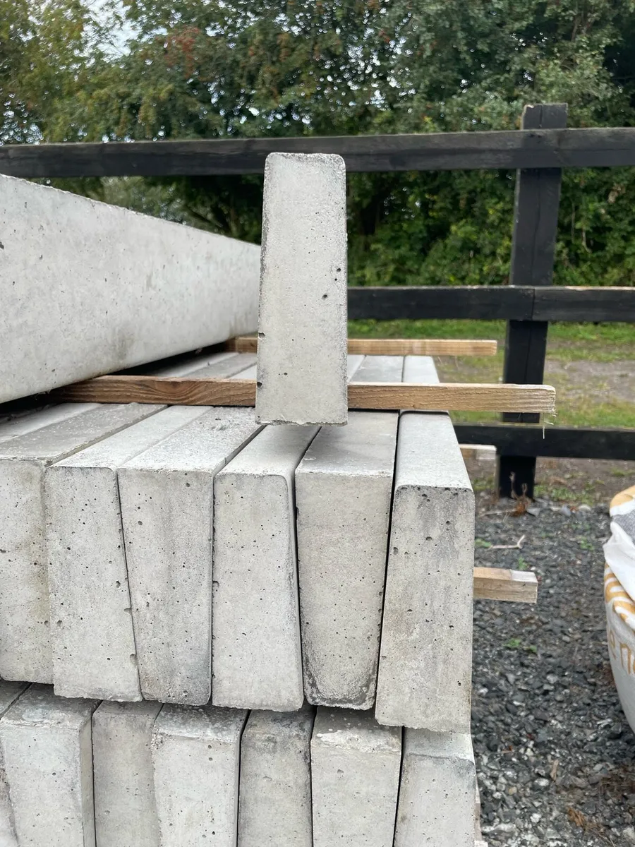 Kerbs - Image 4