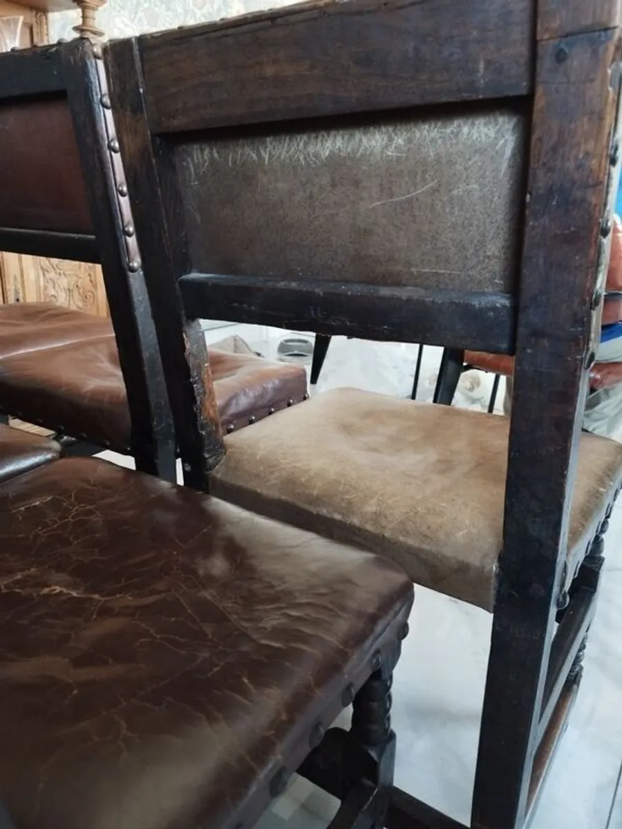 6 oak dining chairs - Image 4