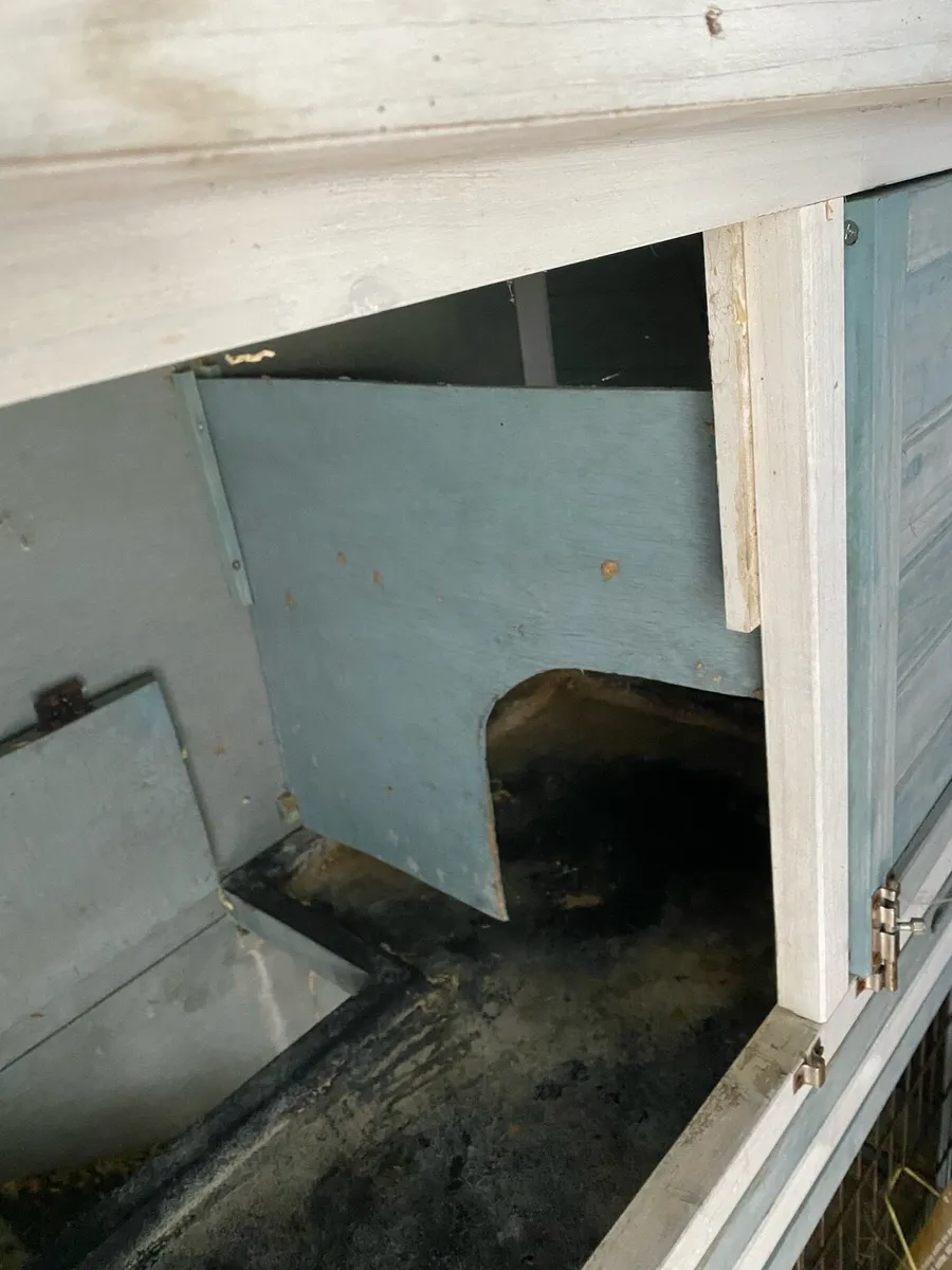 Free Guinea pig/rabbit/hamster hutch - Image 2