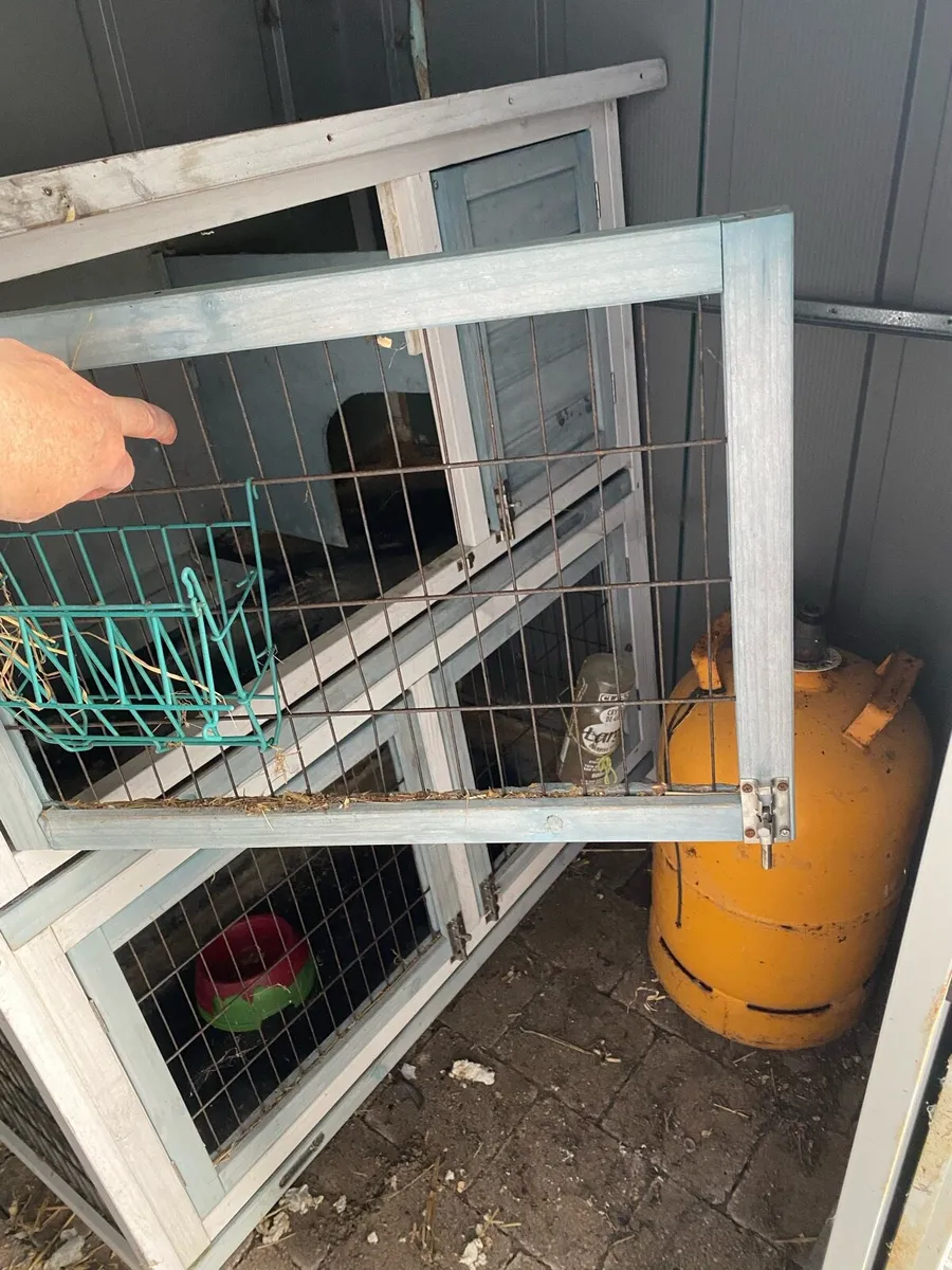 Free Guinea pig/rabbit/hamster hutch - Image 3