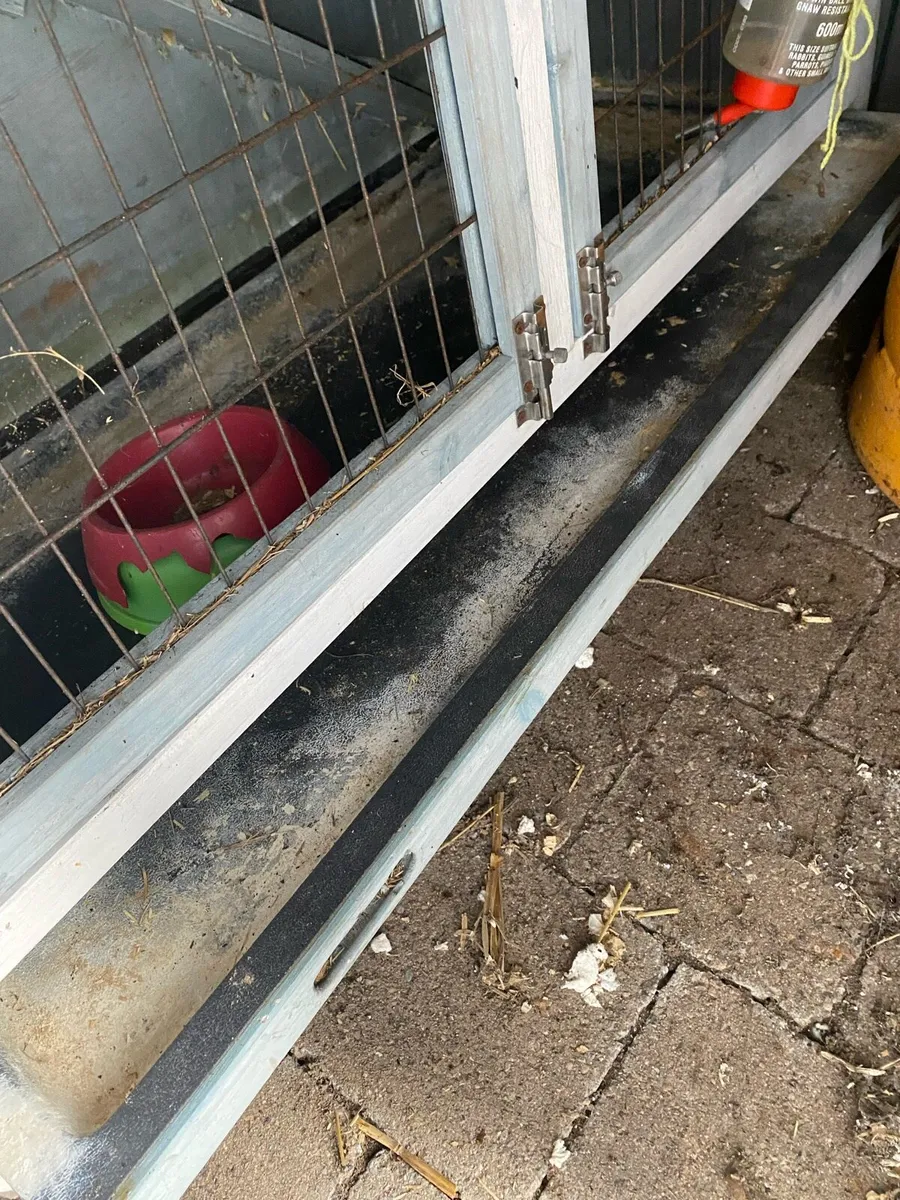 Free Guinea pig/rabbit/hamster hutch - Image 4