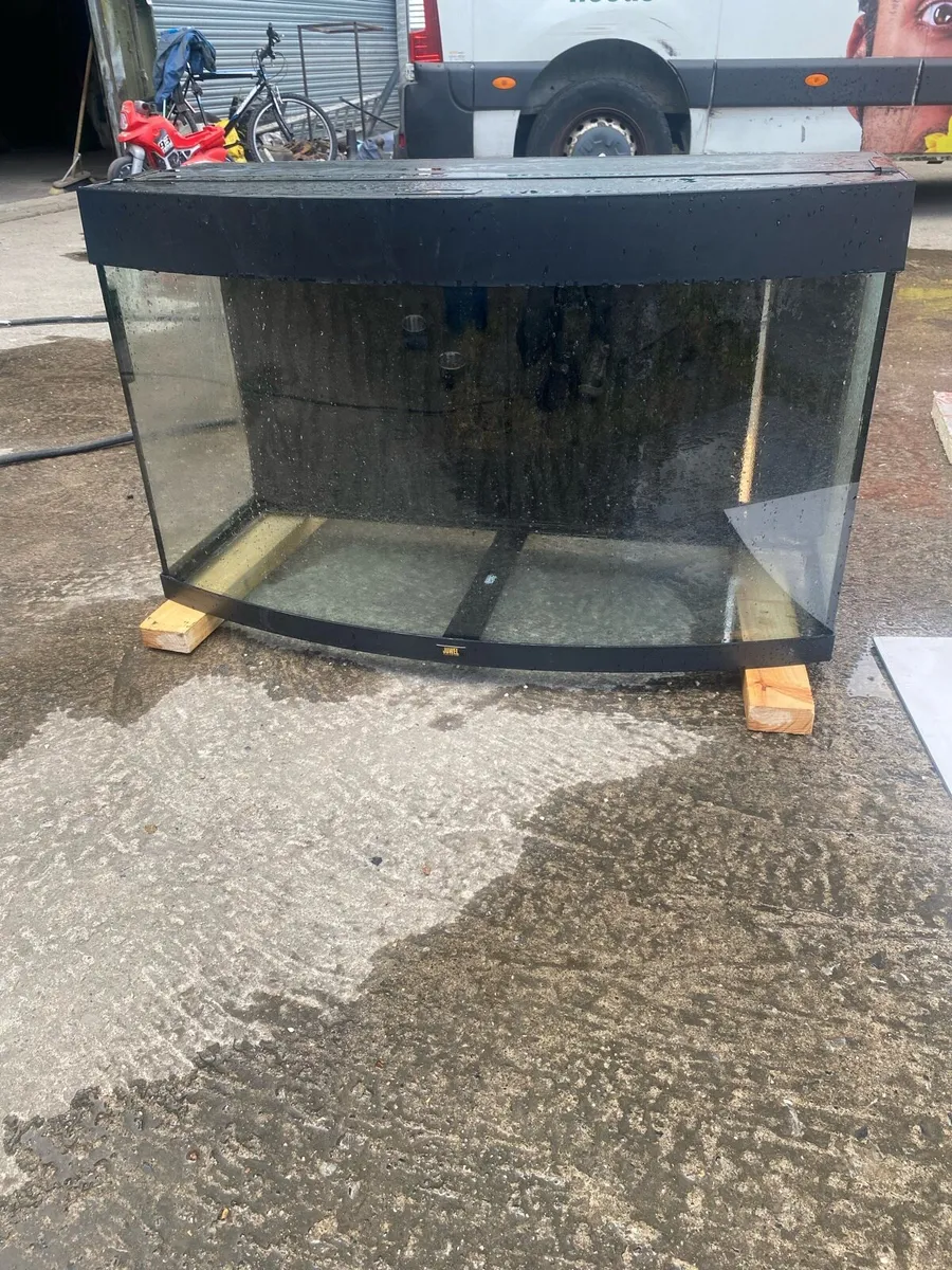 Aquariums - Image 2