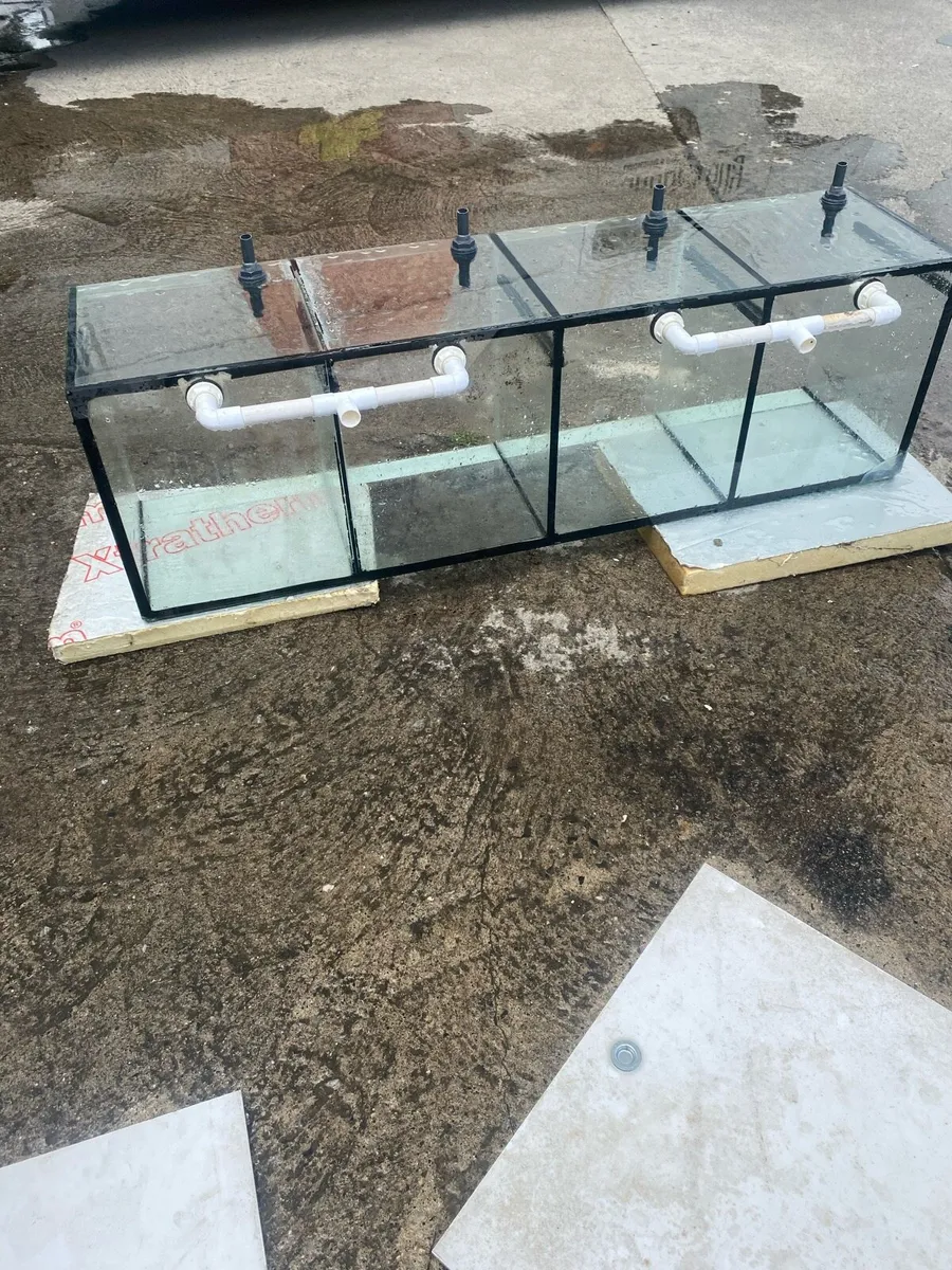 Aquariums - Image 3