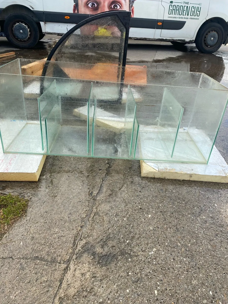 Aquariums - Image 4