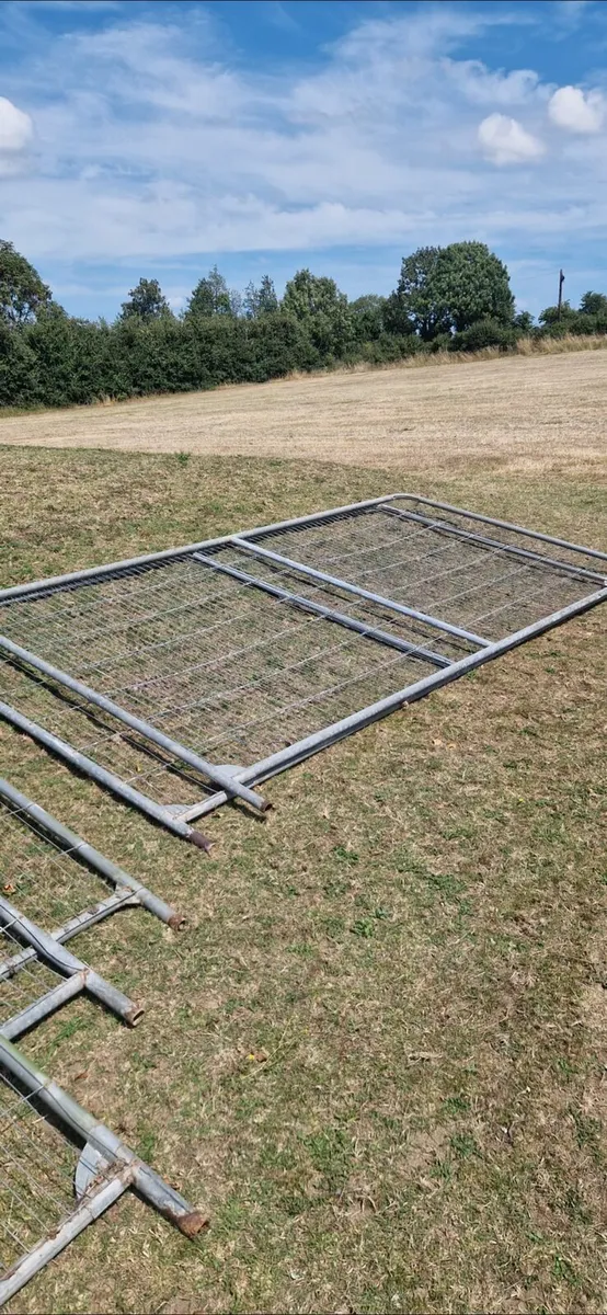 Heras Fencing - Image 2
