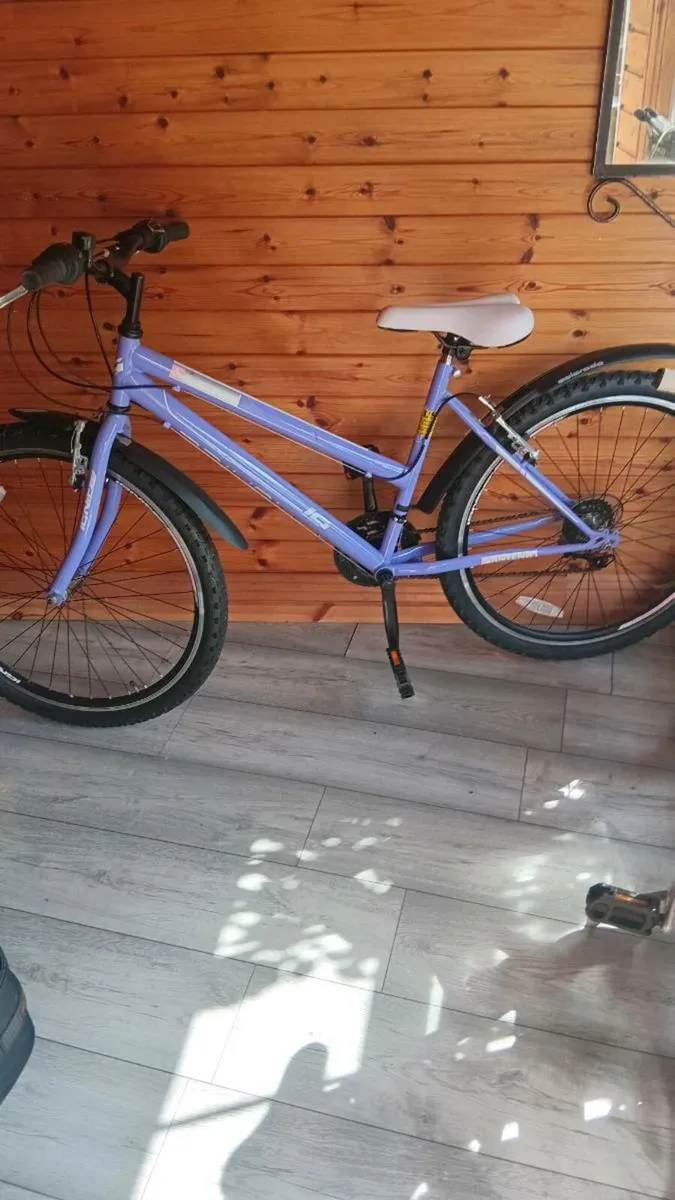Mountain bike - Image 1