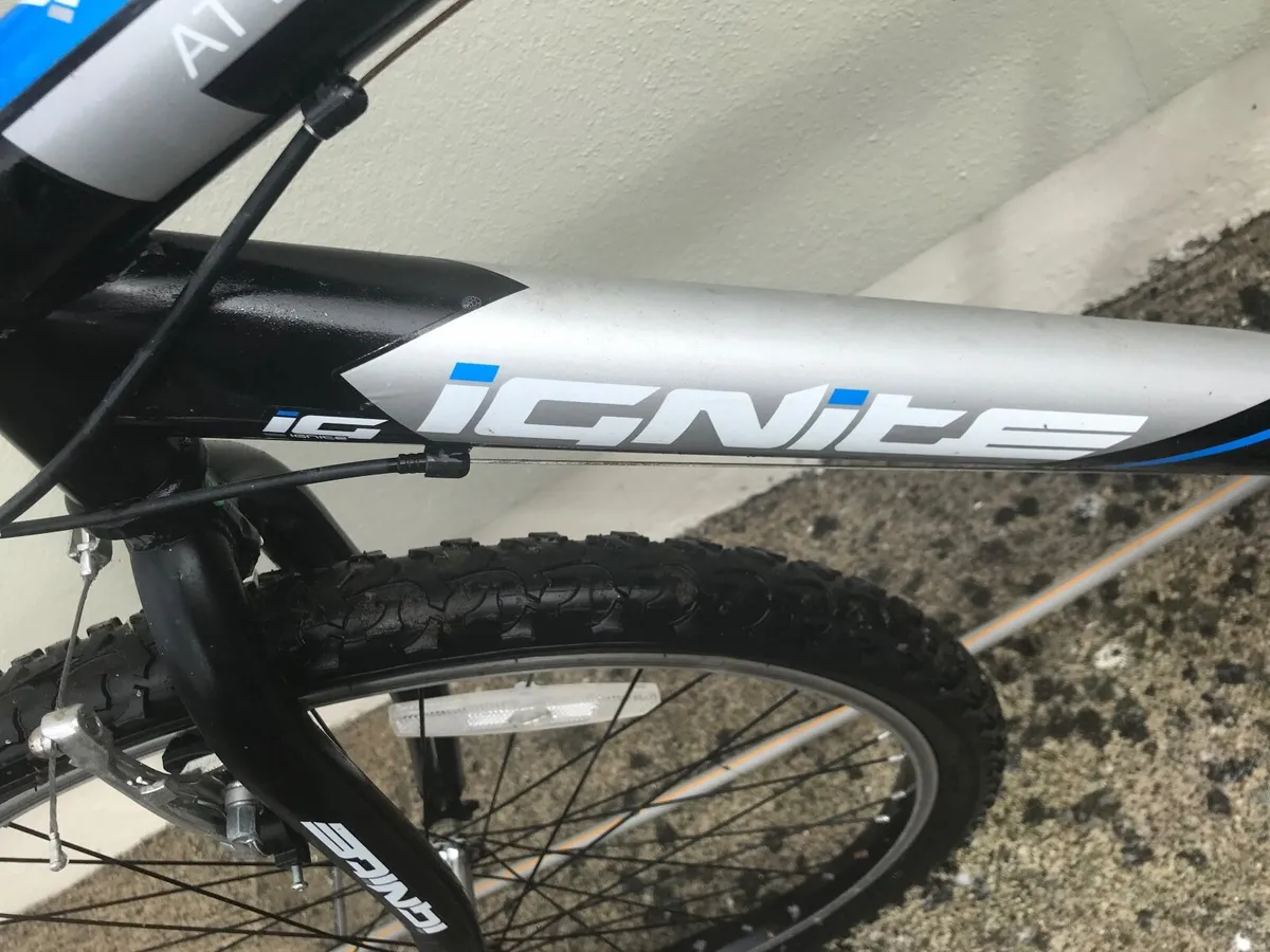 Bike - Image 3