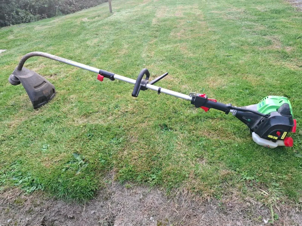 Petrol Strimmer - Image 1