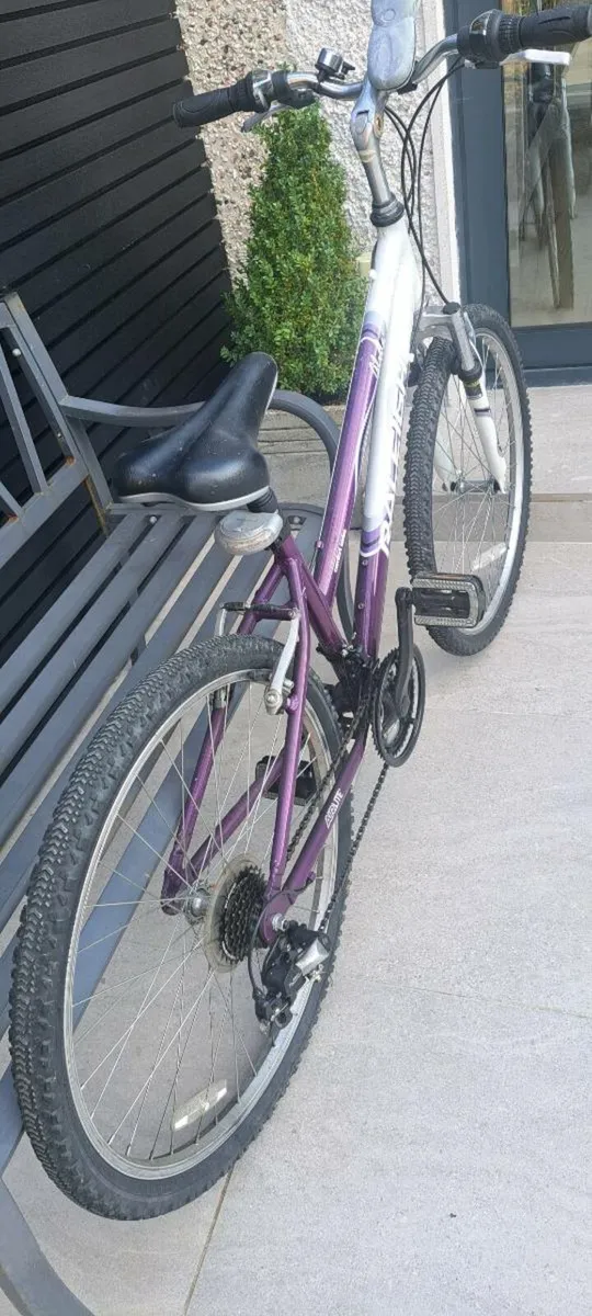 Ladies Raleigh Bicycle - Image 2