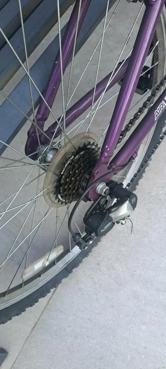 Ladies Raleigh Bicycle - Image 3