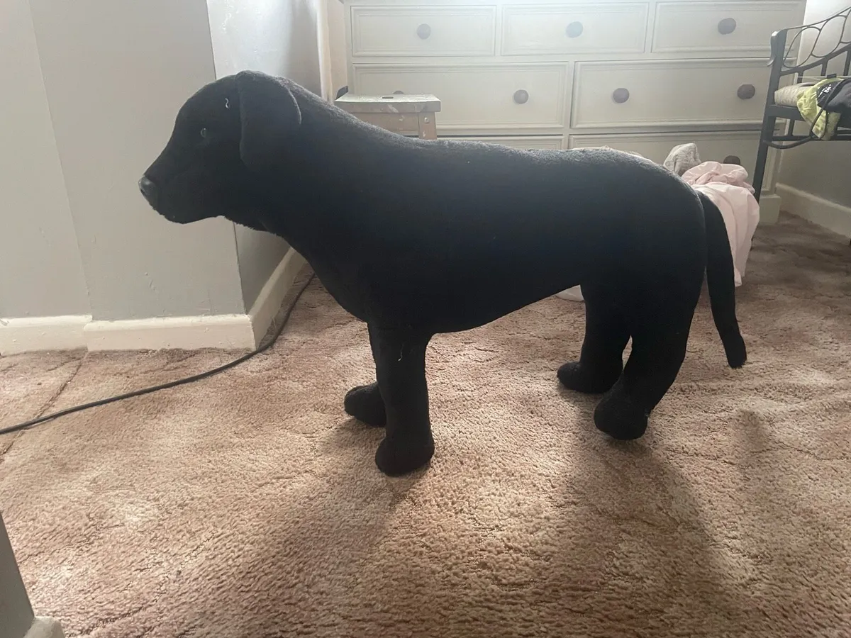 Life size black Labrador teddy bear - Image 1