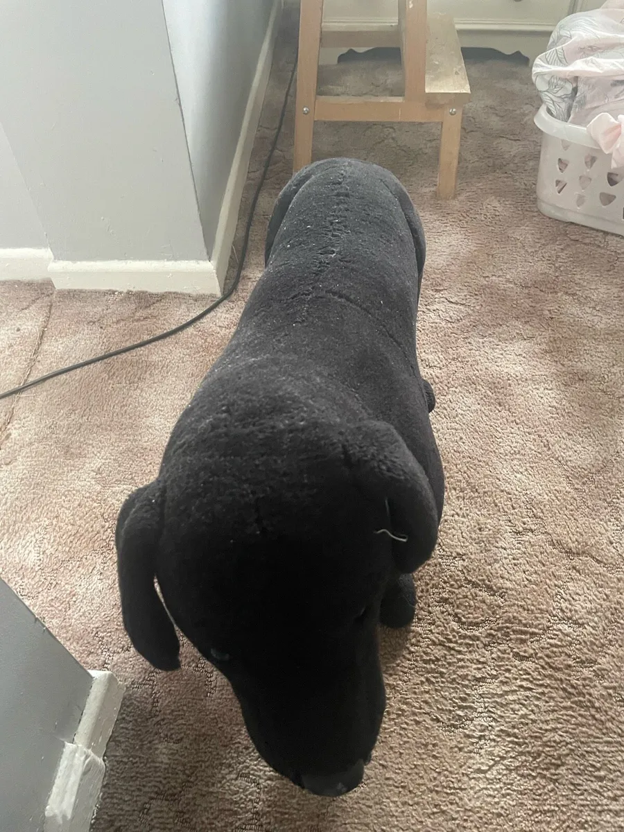 Life size black Labrador teddy bear - Image 3