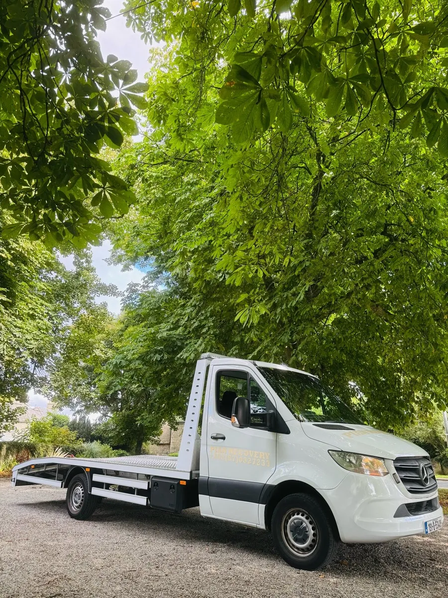 Mercedes Sprinter 2019 314CDI Recovery + Buisness - Image 1