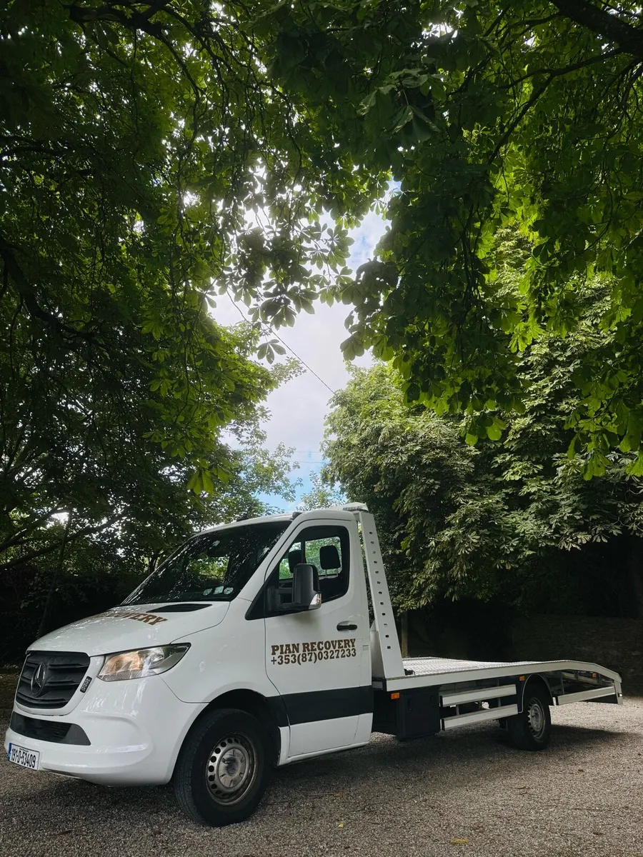 Mercedes Sprinter 2019 314CDI Recovery + Buisness - Image 2