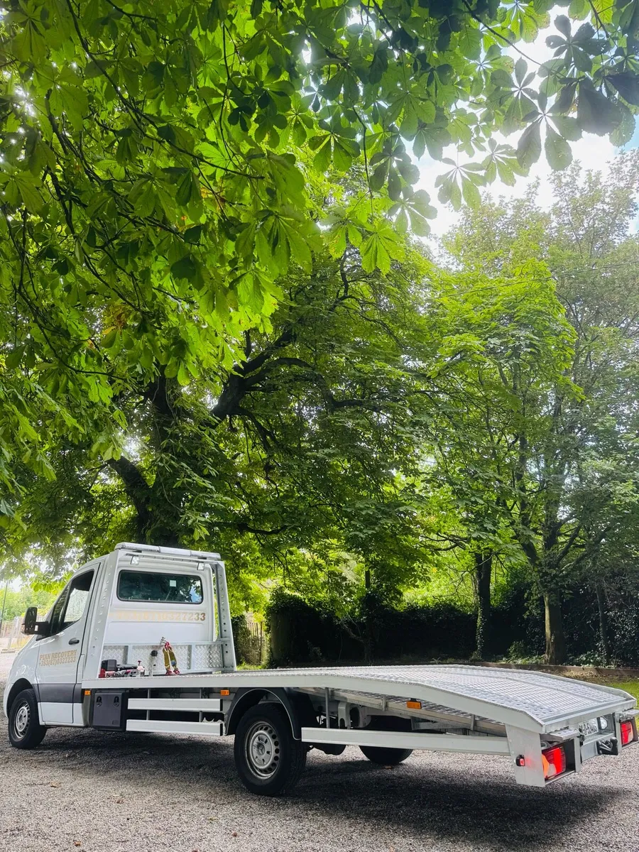 Mercedes Sprinter 2019 314CDI Recovery + Buisness - Image 3