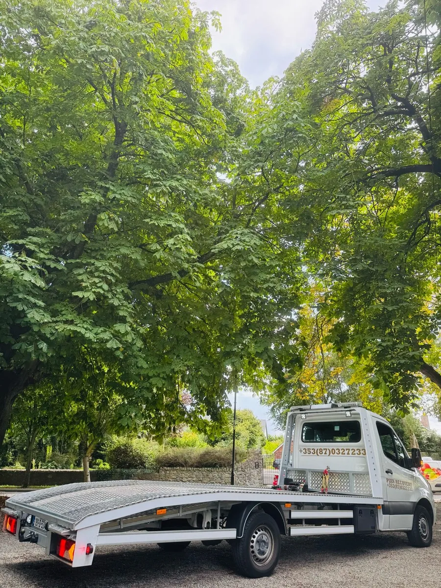 Mercedes Sprinter 2019 314CDI Recovery + Buisness - Image 4