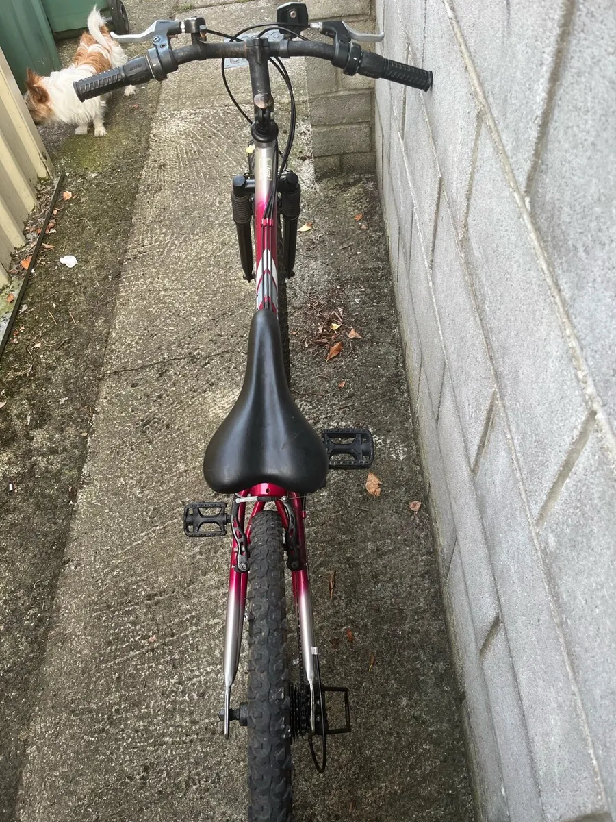 🚲 Kawasaki Escape Mountain Bike - Image 3