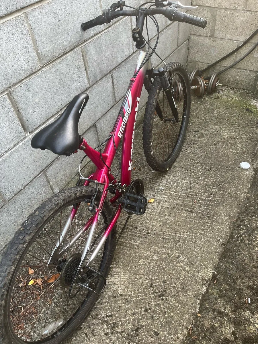 🚲 Kawasaki Escape Mountain Bike - Image 4
